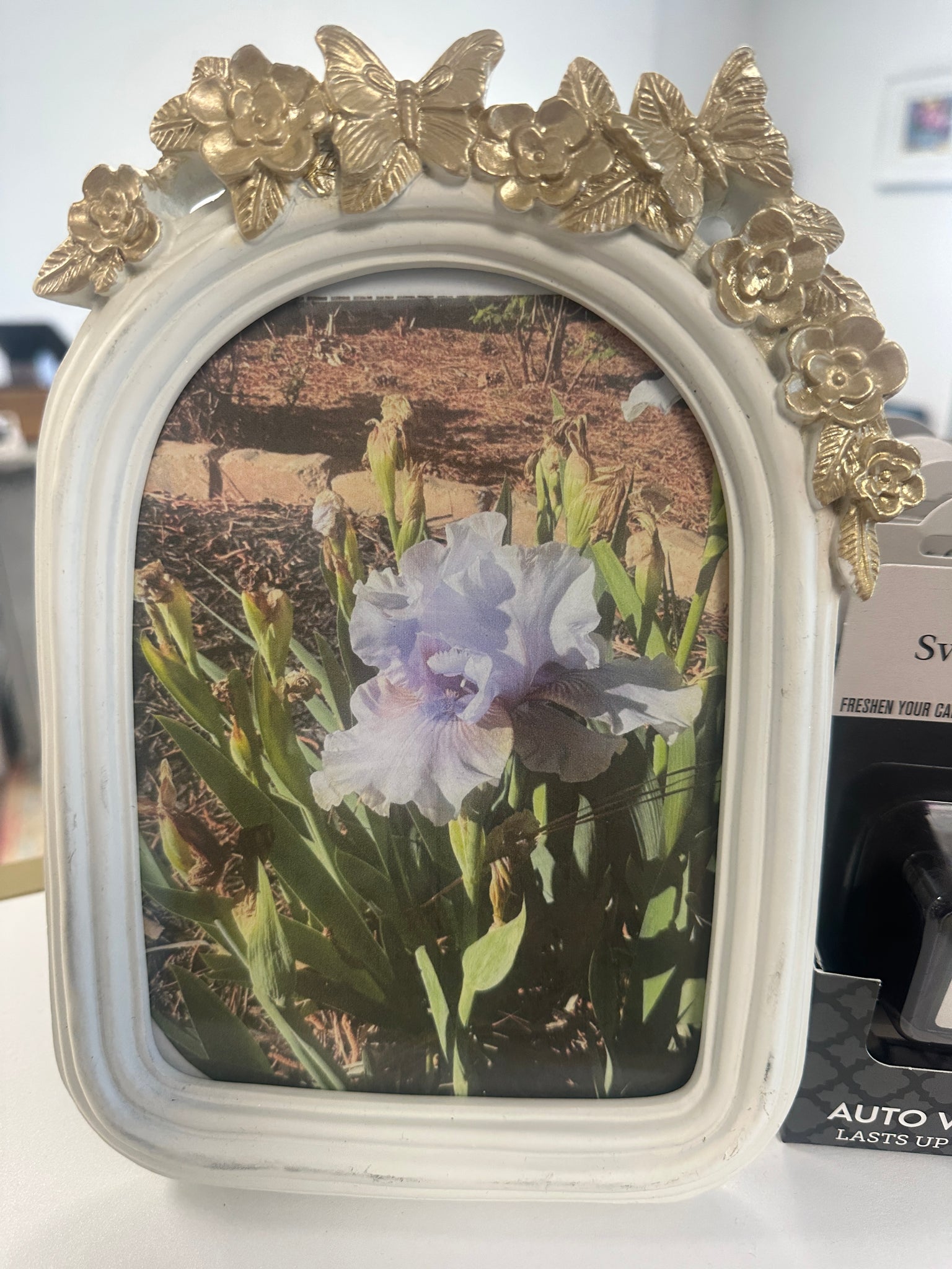 5x7 Washed White Frame with Gold Accents at Top