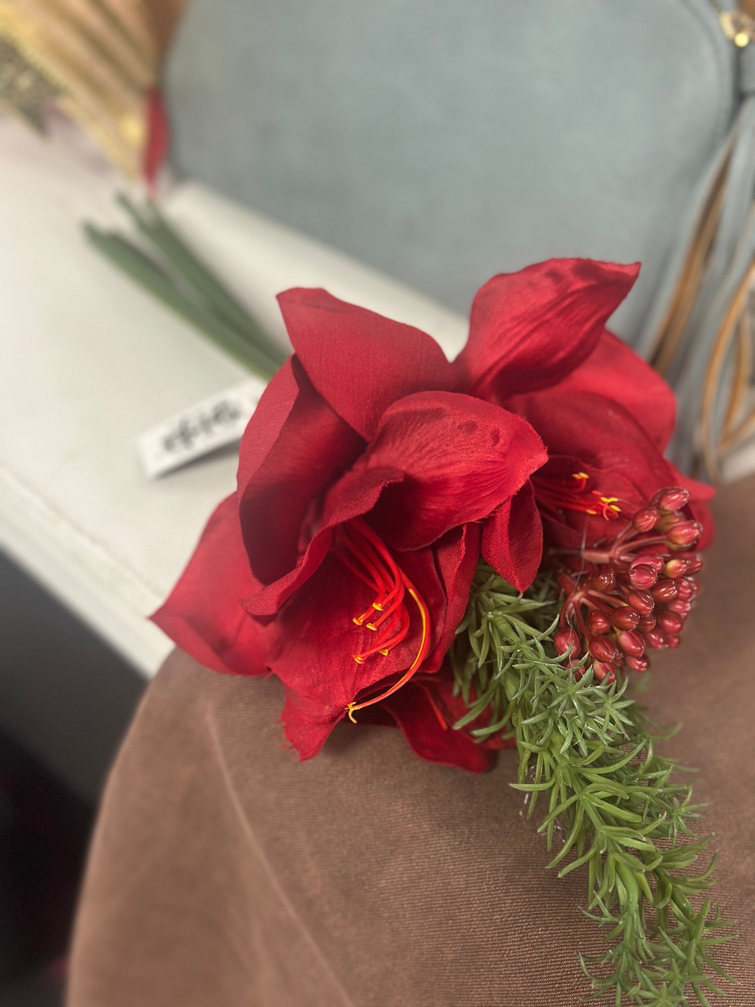 Crimson Amaryllis Stem