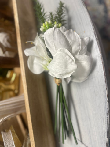 White Amaryllis Stem